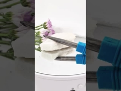 Anti Chipping 2 Flutes Taper Carbide End Mill for Deep Cavity Mold Cutting